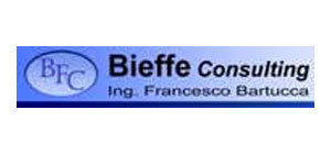 BFC CONSULTING